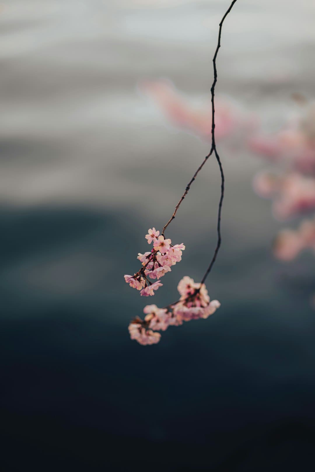 摄影师拍摄夜幕下的北京 灯亮起的一刻太惊艳了！